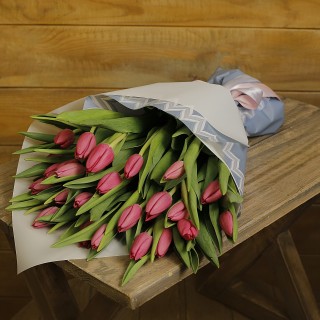  Purple Tulip